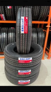 gallant